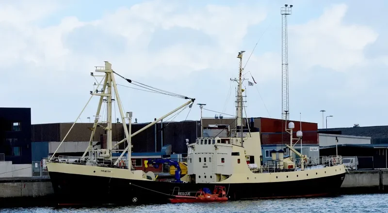 SOLOVEN General Cargo IMO 8862569 photo 2