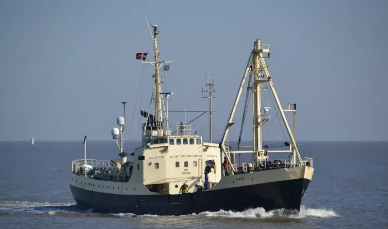 SOLOVEN General Cargo IMO 8862569 photo 3