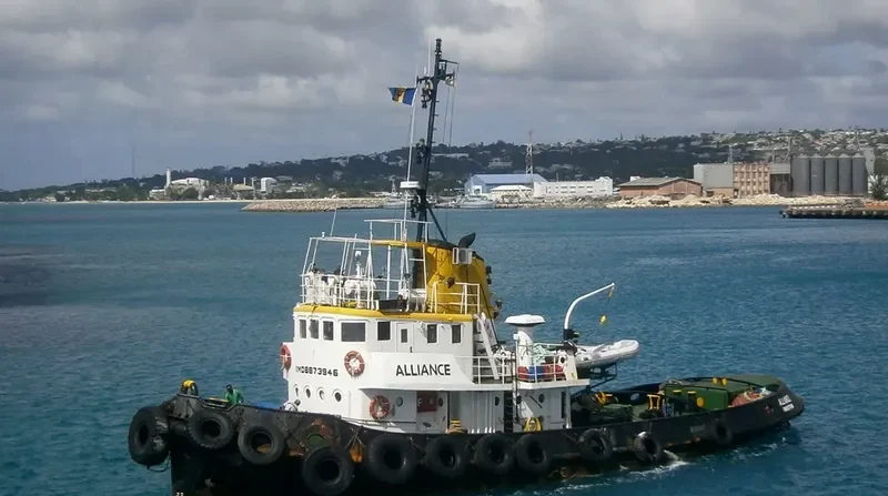 ALLIANCE General Cargo IMO 8873946 photo 2