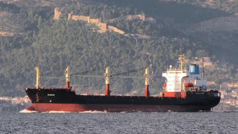 ELBRUS General Cargo IMO 8918095 photo 10