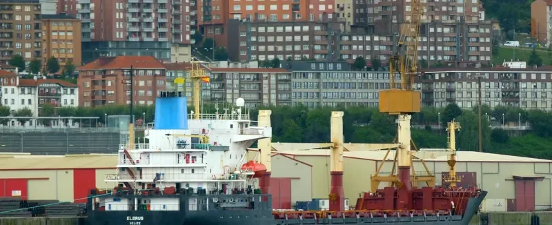 ELBRUS General Cargo IMO 8918095 photo 11