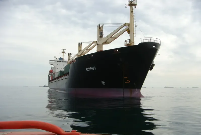 ELBRUS General Cargo IMO 8918095 photo 34