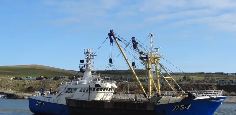 DS NO.1 General Cargo IMO 8953681