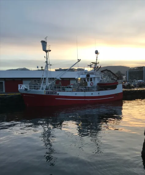 EMMA General Cargo IMO 8962345