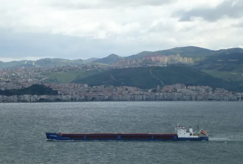 ROSTOV NA DONU General Cargo IMO 8971190 photo 8