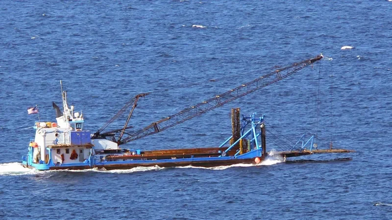SEAHORSE General Cargo IMO 8992819