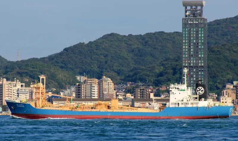 RYOKO 8 General Cargo IMO 9015096 photo 9