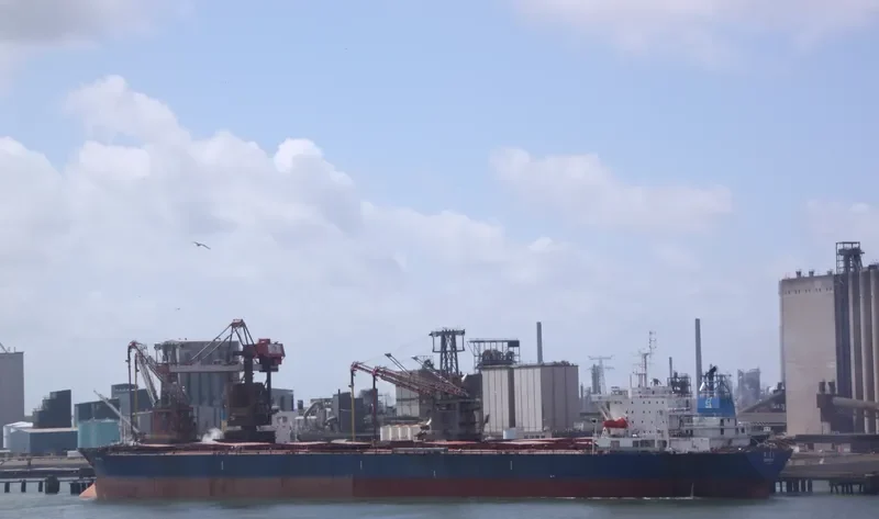 HAFEET Bulk Carrier IMO 9015591 photo 3