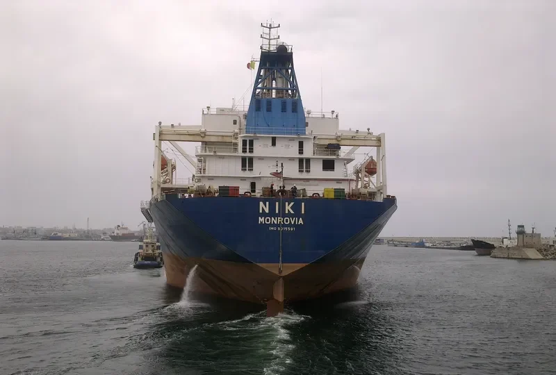 HAFEET Bulk Carrier IMO 9015591 photo 8