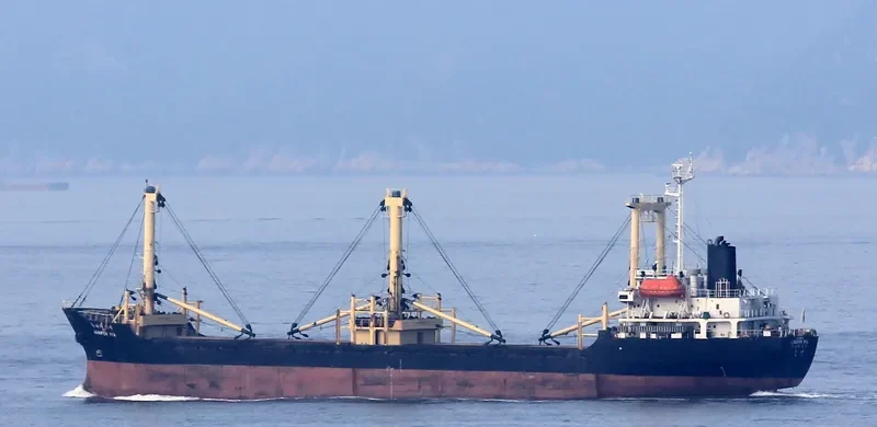 HASAN General Cargo IMO 9016179