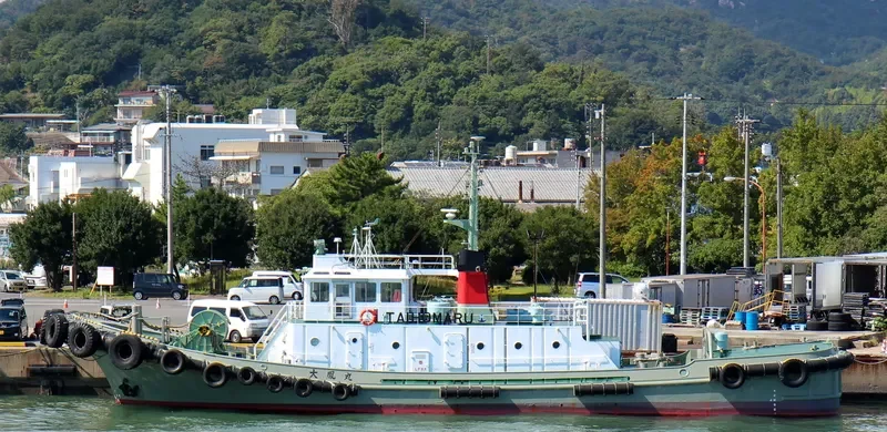 TAIHO MARU General Cargo IMO 9016208 photo 4