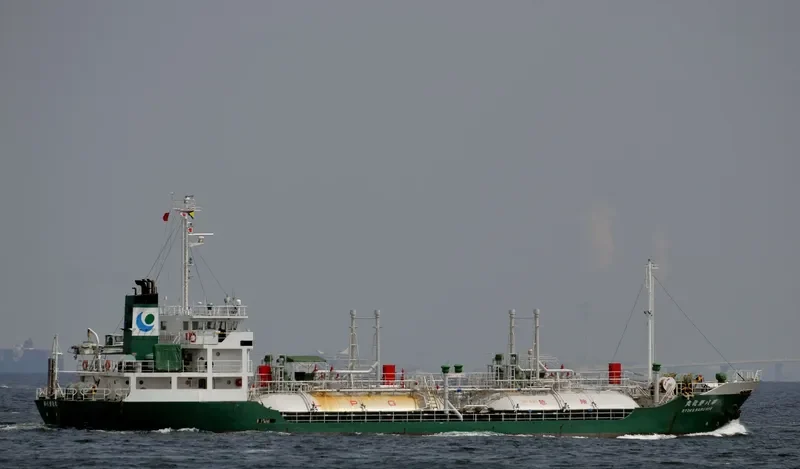 PILATUS 51 General Cargo IMO 9016284 photo 3