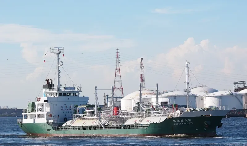 PILATUS 51 General Cargo IMO 9016284 photo 5