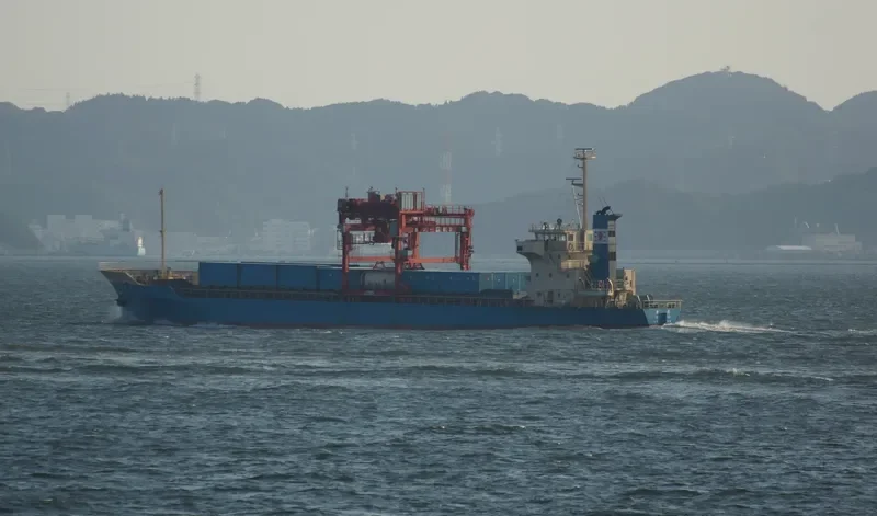 SEABORNE CARGO 8 Container Ship IMO 9016301 photo 3