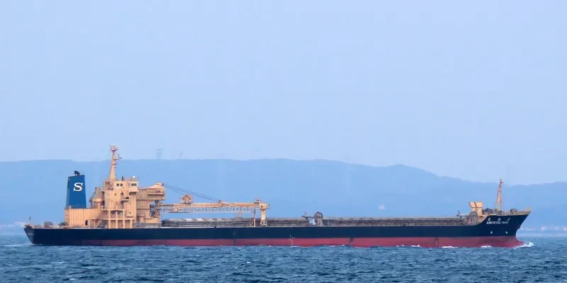 CLEAN OCEAN 1 Bulk Carrier IMO 9016650 photo 3