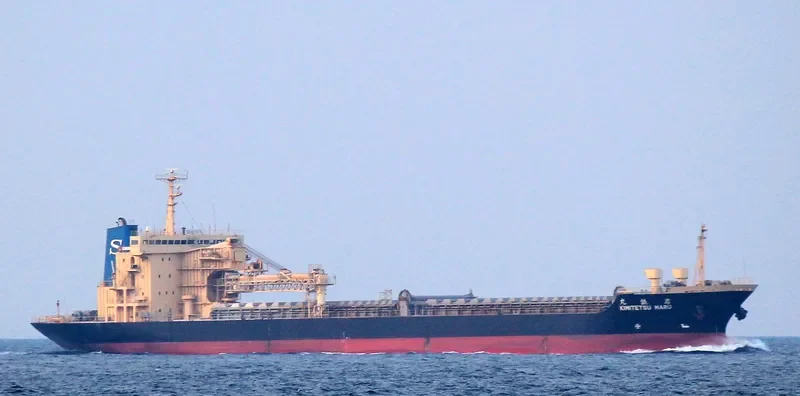 CLEAN OCEAN 1 Bulk Carrier IMO 9016650 photo 5