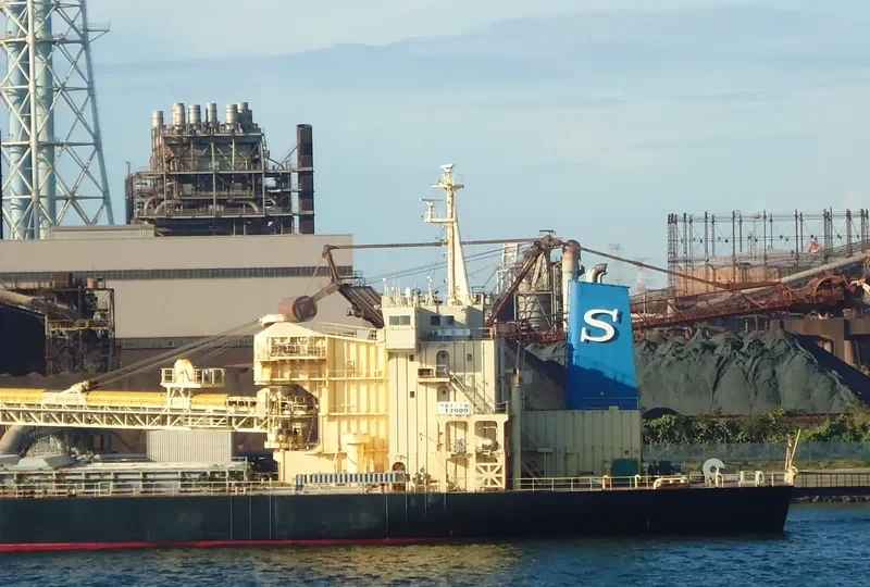 CLEAN OCEAN 1 Bulk Carrier IMO 9016650 photo 6