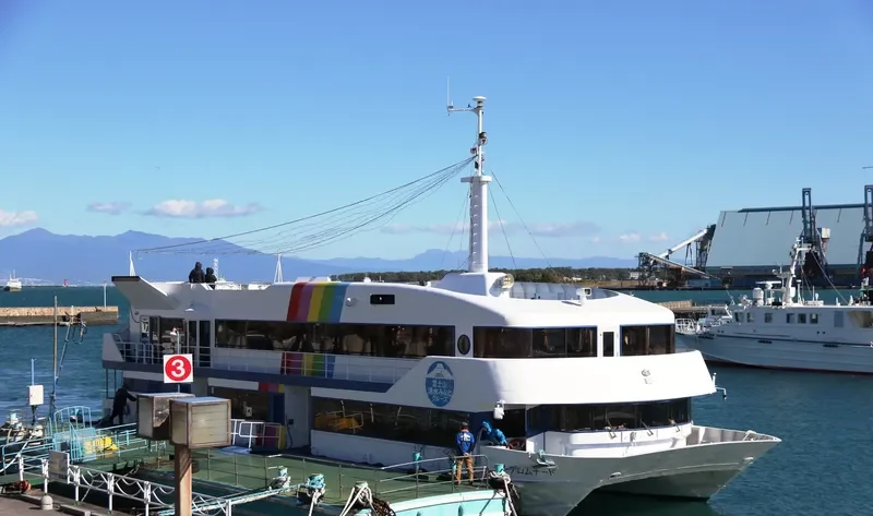 BAY PROMENADE Passenger Ship IMO 9016753 photo 4