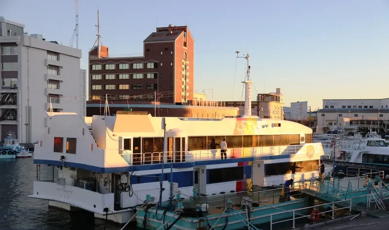 BAY PROMENADE Passenger Ship IMO 9016753 photo 7