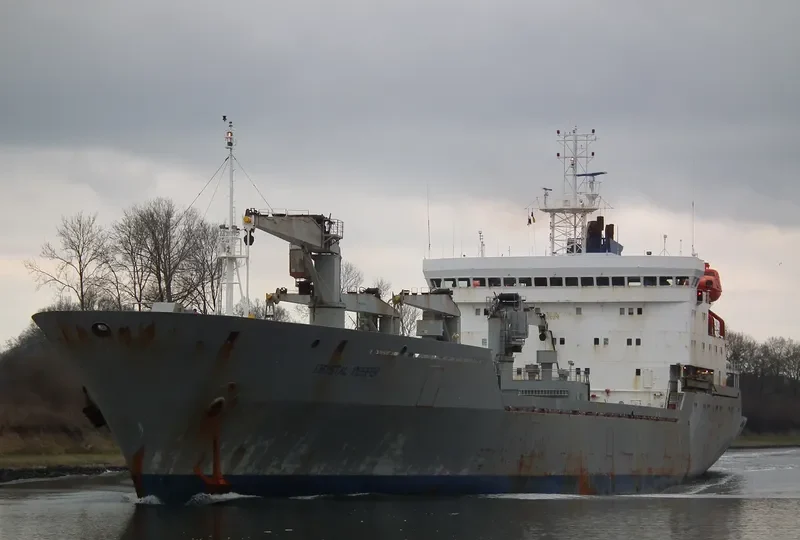 TAGANROGSKIY ZALIV General Cargo IMO 9017276 photo 8