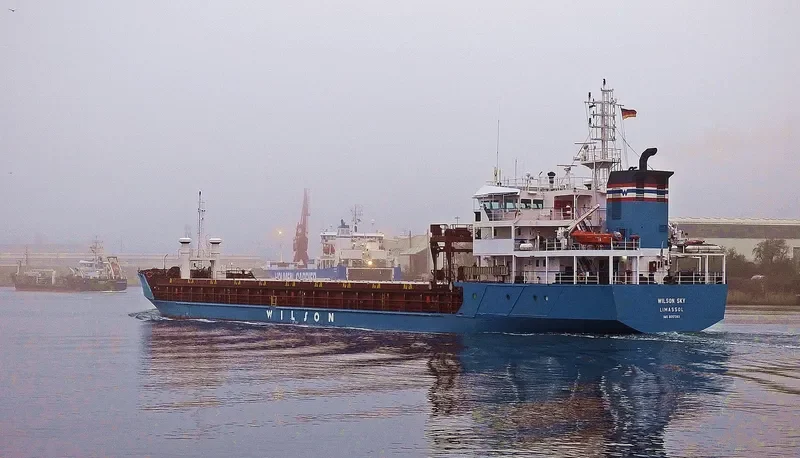WILSON SKY General Cargo IMO 9017393 photo 6