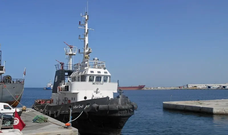 IBN NAFAA General Cargo IMO 9017549