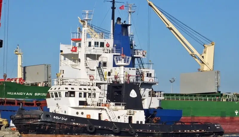 IBN NAFAA General Cargo IMO 9017549 photo 2