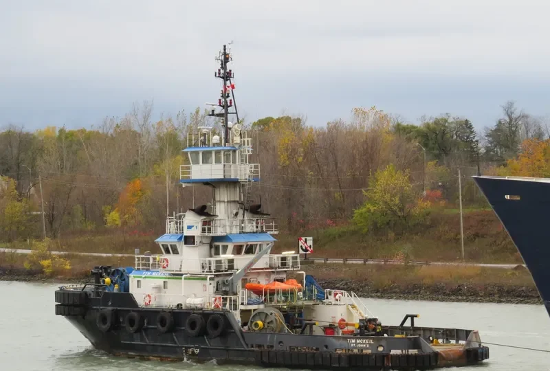 TIM MCKEIL General Cargo IMO 9017604