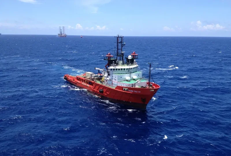 VUNG TAU 01 Offshore Vessel IMO 9017680 photo 5