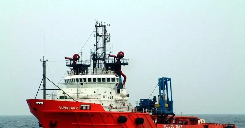 VUNG TAU 01 Offshore Vessel IMO 9017680 photo 6