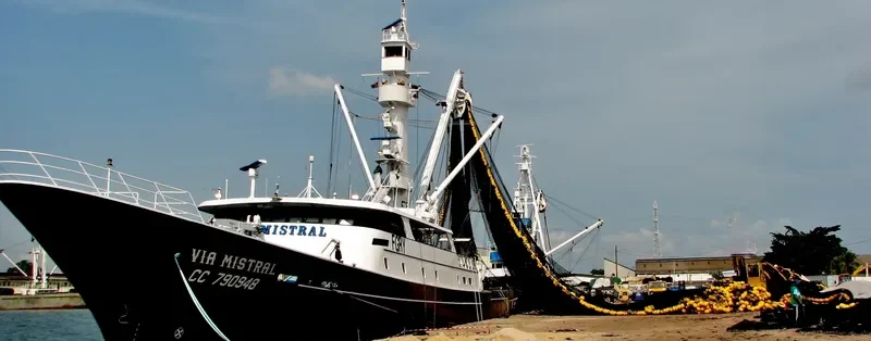 VIA MISTRAL General Cargo IMO 9017850