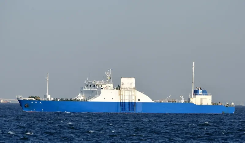 HAKURYU MARU General Cargo IMO 9018488 photo 2