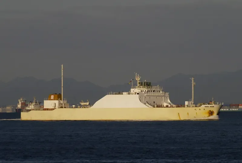 OHRYU MARU General Cargo IMO 9018490 photo 3