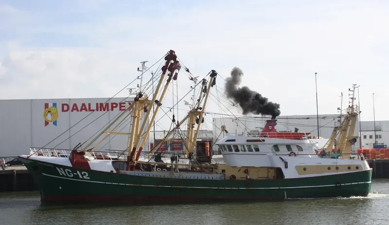 PBINS MAURITS General Cargo IMO 9018608 photo 5