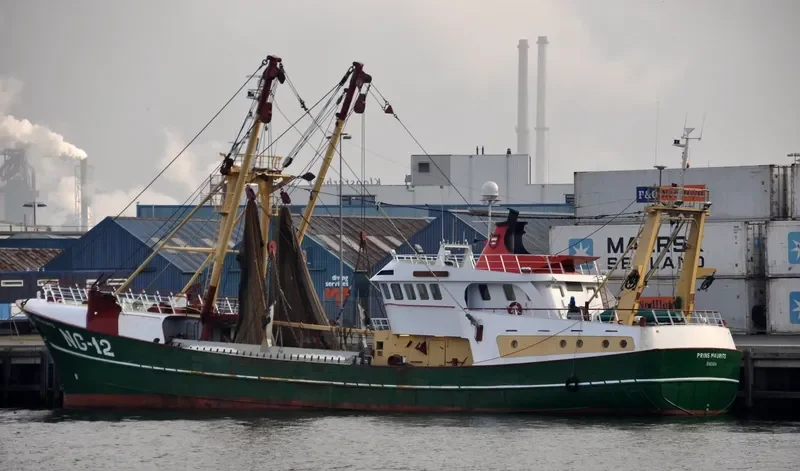 PBINS MAURITS General Cargo IMO 9018608 photo 6