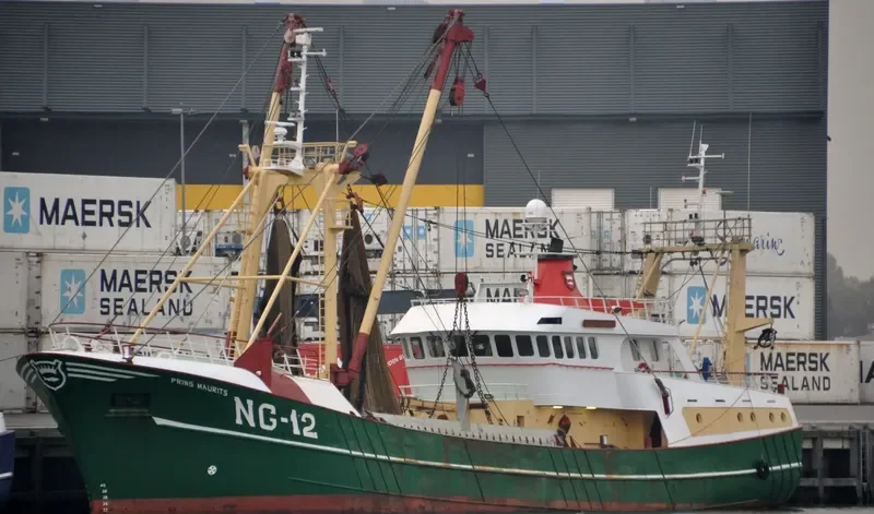 PBINS MAURITS General Cargo IMO 9018608 photo 7
