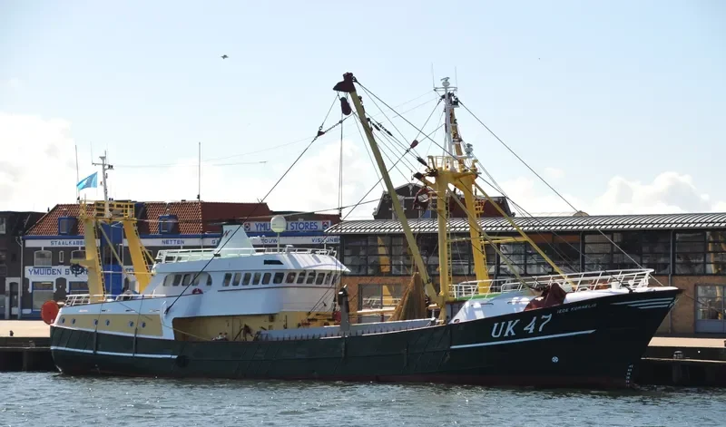 IEDE KORNELIS General Cargo IMO 9018610 photo 5