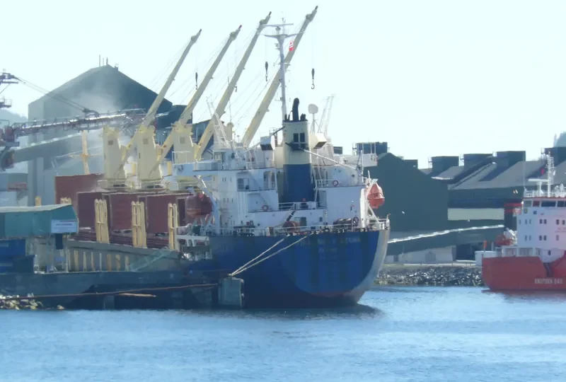 GREAT WENSHAN Bulk Carrier IMO 9018751 photo 4