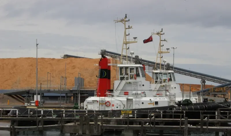 CAPE NELSON General Cargo IMO 9019432