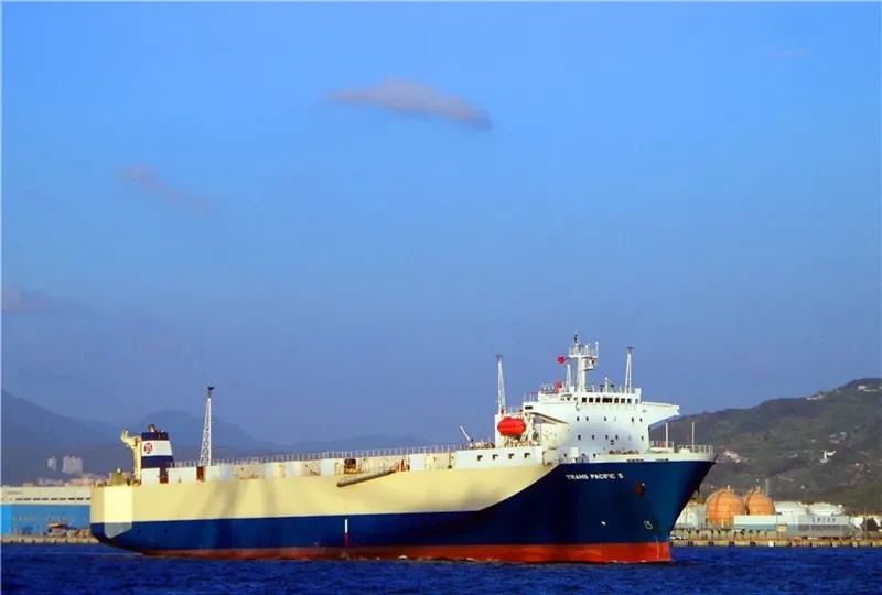 TRANS PACIFIC 5 General Cargo IMO 9019664 photo 5