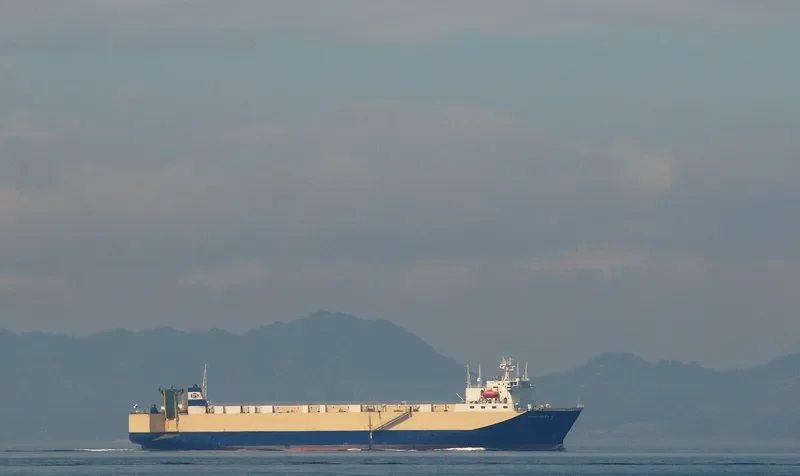 TRANS PACIFIC 5 General Cargo IMO 9019664 photo 9