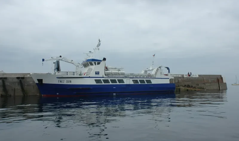 ENEZ SUN III Passenger Ship IMO 9019884 photo 8