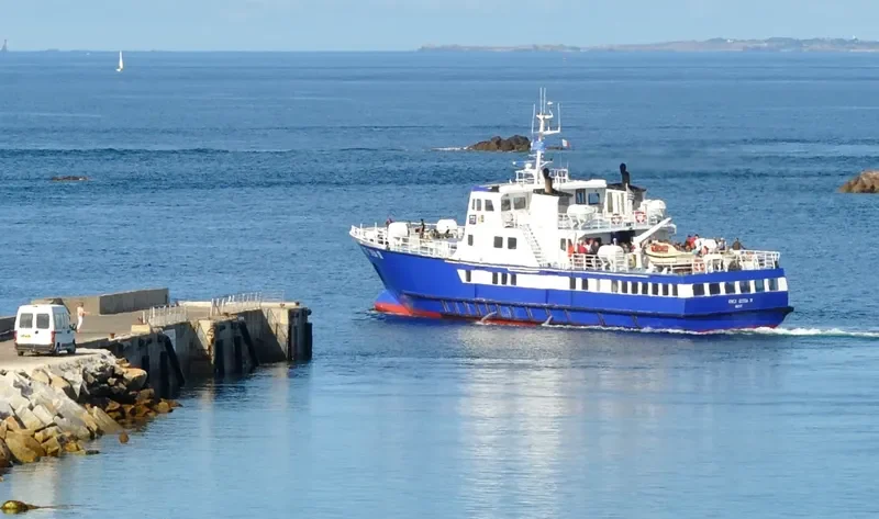 ENEZ EUSSA III Passenger Ship IMO 9019896 photo 4