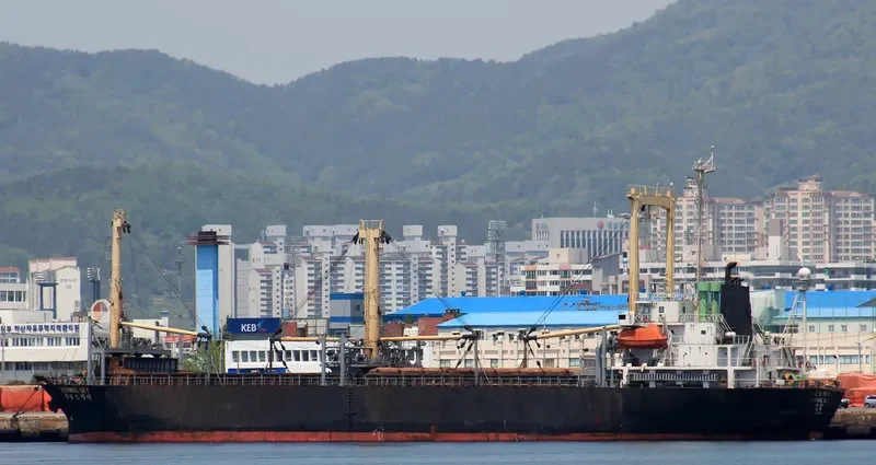 MORNING SKY General Cargo IMO 9019987