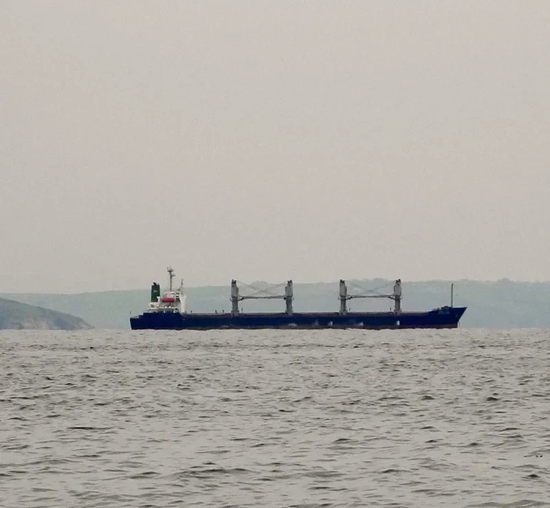 SARANYA NAREE Bulk Carrier IMO 9020065 photo 2