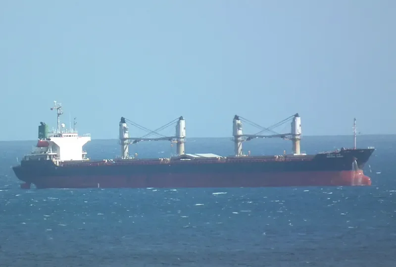 SARANYA NAREE Bulk Carrier IMO 9020065 photo 6