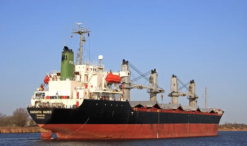 SARANYA NAREE Bulk Carrier IMO 9020065 photo 7