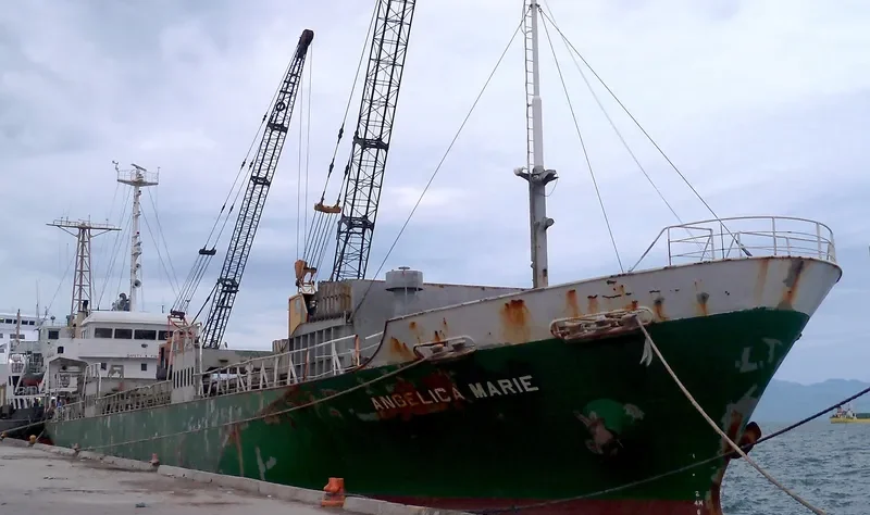 ANGELICA MARIE General Cargo IMO 9020144