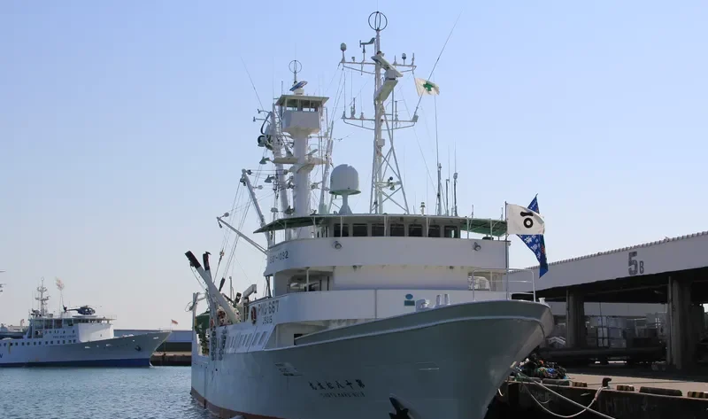 MIRANDA General Cargo IMO 9020182 photo 5