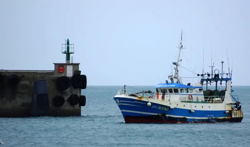CAP LIZARD General Cargo IMO 9020376